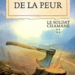 La magie de la peur par Robin Hobb La magie de la peur - R Hobb